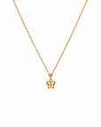 Butterfly Signature Charm