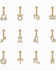 Signature Zodiac Charm