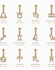 Signature Zodiac Charm