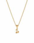 Signature  Körsbär Charm