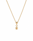 Golden Paw Charm